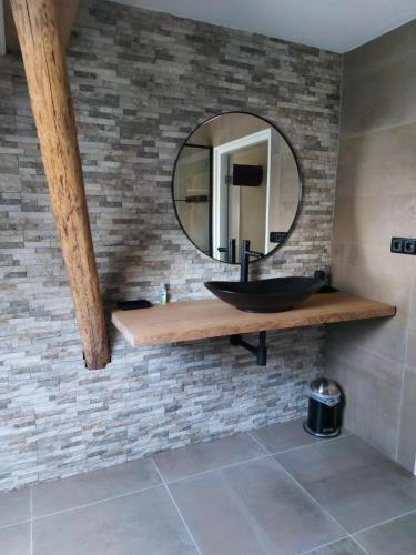 阿珀尔斯哈Aekingahof的浴室设有水槽和砖墙上的镜子
