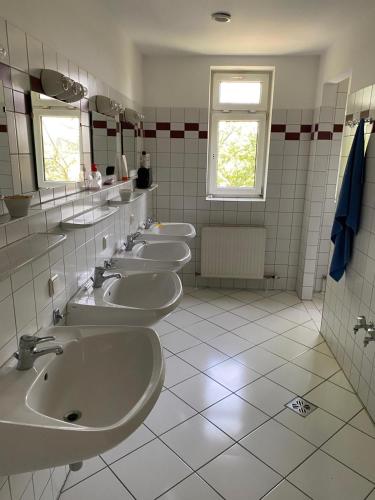 格拉茨Arbeiterwohnheim Workers Dormitory Graz的浴室设有一排盥洗盆和镜子