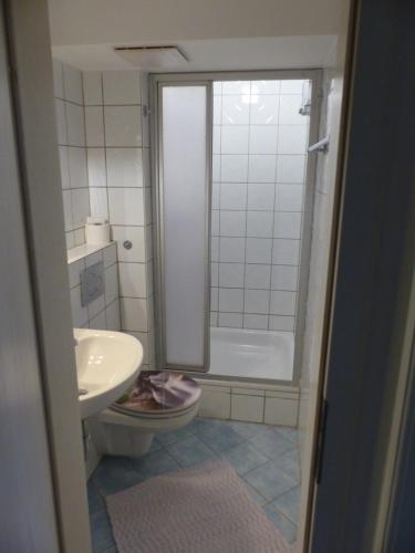 AgathariedApartment mit Terrasse am Bach的一间带水槽、卫生间和淋浴的浴室