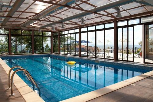 阿巴纳西阿巴纳西公园酒店的海景游泳池