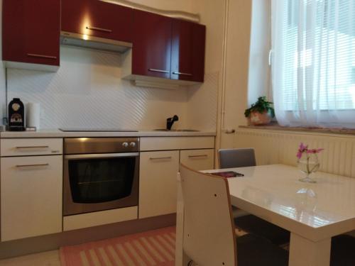 采尔克尼察Apartma JERMAN - Cerknica的厨房配有桌子和炉灶。 顶部烤箱