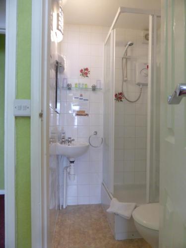 布里德灵顿Bay Court的一间带水槽、淋浴和卫生间的浴室
