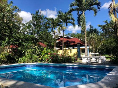 BonaoAcogedora Casa Rural en plena naturaleza frente al Río con piscina Bonao的棕榈树屋前的游泳池