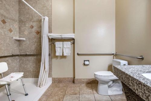 DinwiddieComfort Inn Hebron-Lowell Area的浴室配有卫生间、盥洗盆和淋浴。
