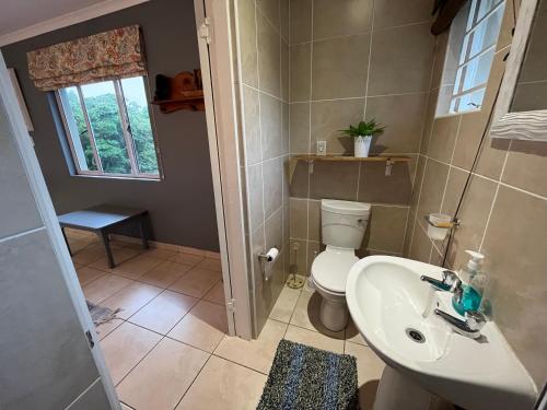 巴利托PIGEONWOOD Forest Cottage的一间带卫生间、水槽和窗户的浴室