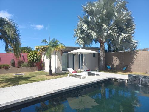 圣路易斯CALME ET SERENITE A LA RIVIERE的一座棕榈树游泳池和一座房子