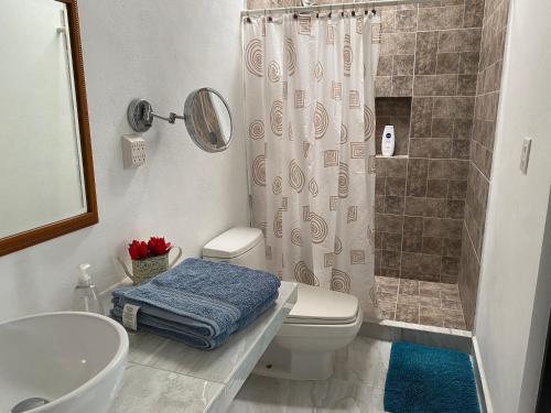 坎昆Closetoairport的带淋浴、卫生间和盥洗盆的浴室