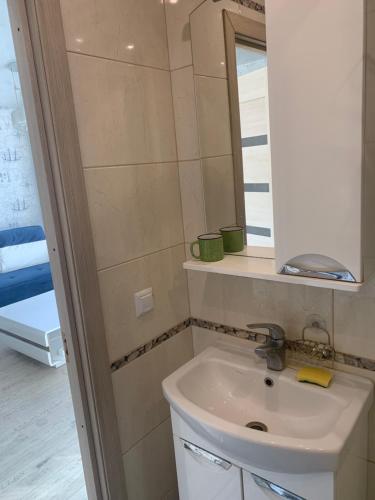 纳尔瓦约埃苏Home for your vacation 1-bedroom apartment的一间带水槽和镜子的浴室