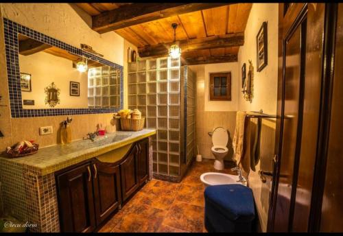 圣乔治-伯伊Casa de hodina Maria的一间带水槽、淋浴和卫生间的浴室