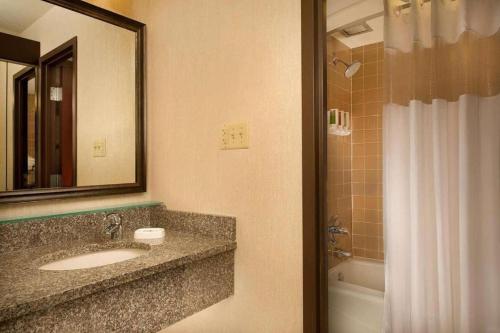 堪萨斯城Hotel Lotus Kansas City Stadium的浴室配有盥洗盆、镜子和浴缸