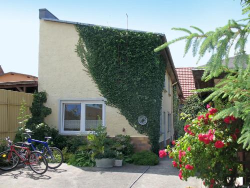 GarzHoliday Home Kaiser by Interhome的一座常春藤生长在它的一侧的建筑