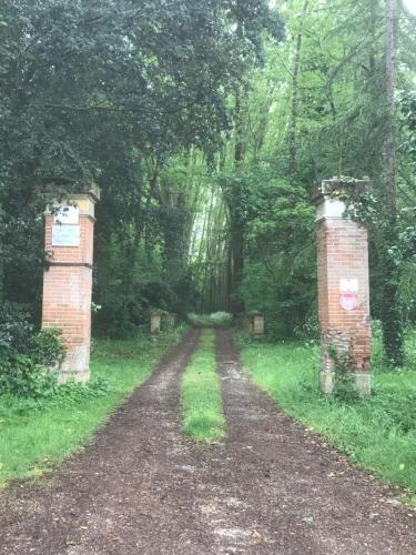 贝尔热拉克la Chartreuse du Domaine de la Graulet的一条土路,木头上有两个砖柱