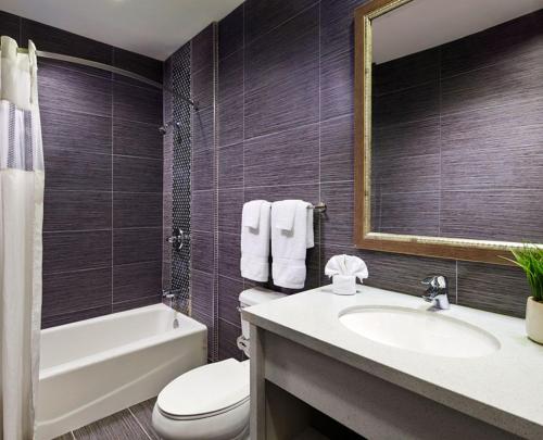 唐尼美国唐尼酒店的一间带水槽、卫生间和镜子的浴室