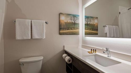 伊丽莎白镇Best Western Plus Elizabethtown Inn & Suites的一间带水槽和镜子的浴室