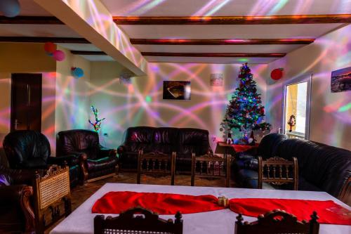 杜博瓦乡Casa BeaSarah.的客厅配有圣诞树和皮革家具