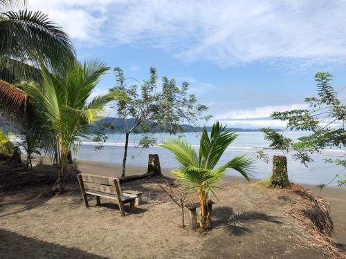 巴亚索拉诺Paraiso Escondido的坐在海滩上靠近水面的长凳
