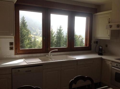 雷加霍斯达哈施Les Grangettes 2 - DUPLEX - WIFI gratuite的带水槽的厨房和2扇树木窗户