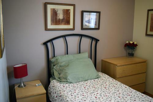 埃德蒙顿The Dewberry Homestay B&B的一间卧室配有床、红灯和图片