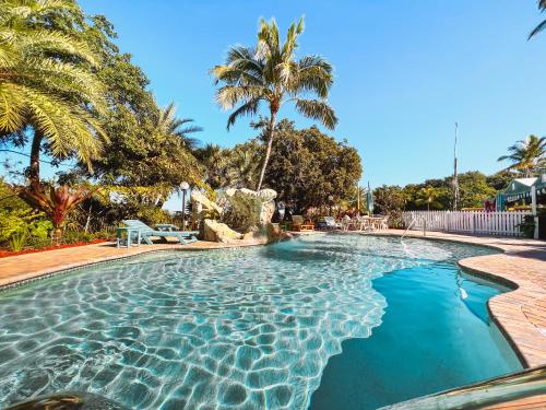 伊斯拉莫拉达The Ocean View Inn的一座拥有蓝色海水和棕榈树的游泳池
