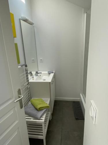 波尔多乐瑟文公寓的一间带水槽和镜子的浴室