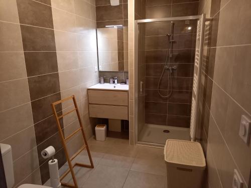 昂塞勒Appartement Les Vallons au pied des pistes的带淋浴和盥洗盆的小浴室