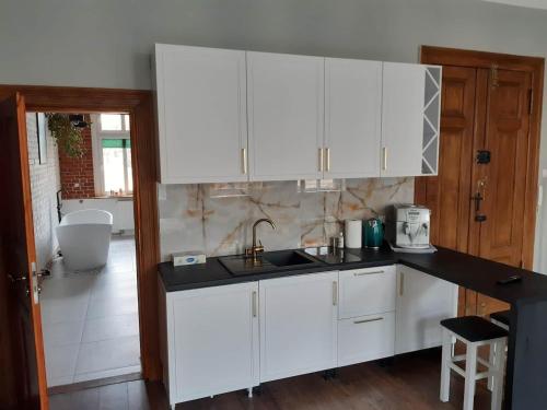 比得哥什Kamienica Bydgoska的厨房配有白色橱柜和水槽