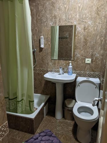 休钦斯克Квартира в районе жд вокзала的浴室配有卫生间、盥洗盆和淋浴。