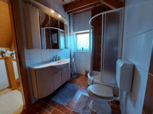 代尔尼采Holiday home Tihovo的浴室配有卫生间、盥洗盆和淋浴。