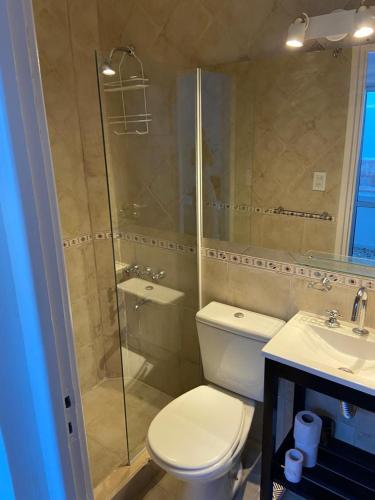 马德普拉塔Espacio C的浴室配有卫生间、淋浴和盥洗盆。