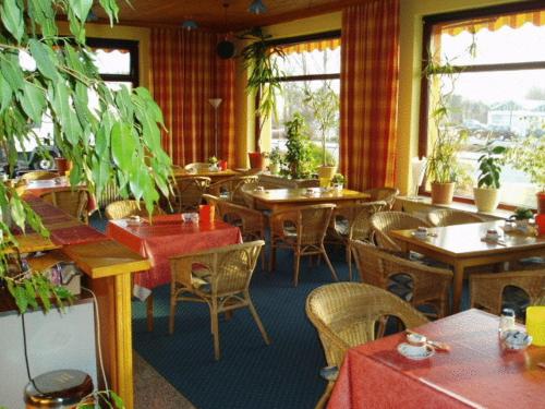 新明斯特弗里德里希酒店的一间餐厅,里面种有桌椅和植物