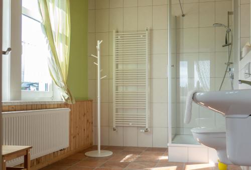 奥伯霍夫Pension Villa Immergrün的带淋浴、卫生间和盥洗盆的浴室