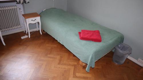 海斯勒霍尔姆科洛南斯B＆B酒店的一张带绿毯和红色枕头的床