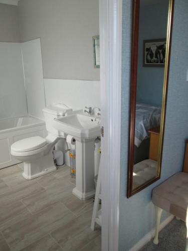 彭里斯Daleholme的一间带卫生间、水槽和镜子的浴室