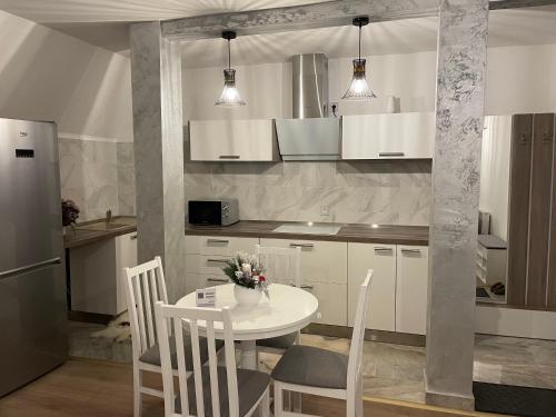比斯特里察Sofia Loft的厨房配有桌椅和冰箱。