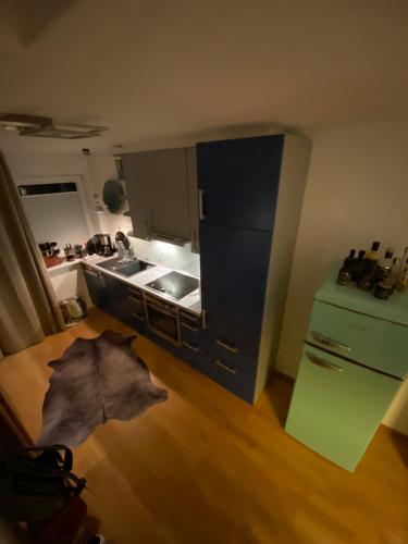 沙博伊茨Inspiration Maisonette的带冰箱的厨房和木地板