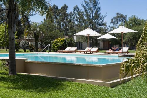 科隆Noha Casa de Campo的一个带躺椅和遮阳伞的游泳池