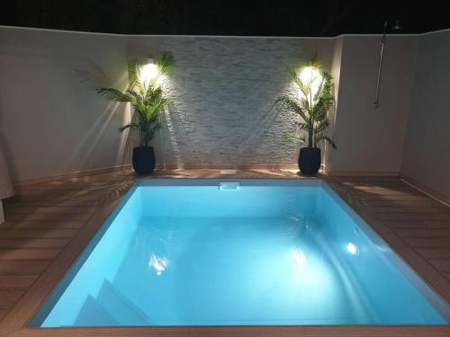 圣玛丽MARS ET VENUS LOCATION - piscine privée et chauffée的室内的蓝色游泳池,两株植物