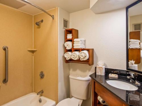 圣安东尼奥Clarion Pointe near Medical Center的浴室配有卫生间、盥洗盆和淋浴。