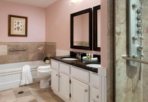 卡姆登罗德凯登酒店的一间带水槽、浴缸和卫生间的浴室