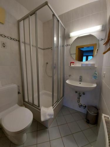 迈尔霍芬Haus Monika und Haus Claudia的带淋浴、卫生间和盥洗盆的浴室