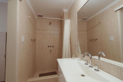 萨尔塔Hotel Tonight的浴室配有盥洗盆和带镜子的淋浴