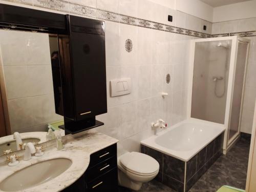 梅扎纳Apartment "Casa Maya"的一间带水槽、卫生间和淋浴的浴室