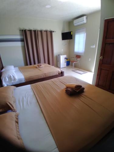 ZanderijDouglas Airport Guesthouse的酒店客房设有两张床和窗户。