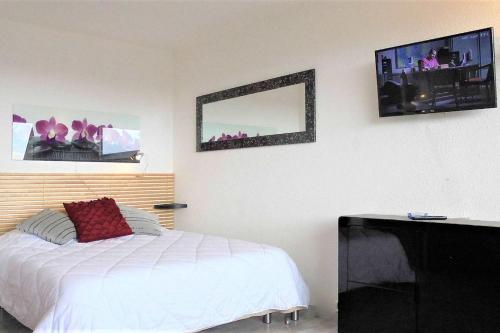 阿格德角Cap d'Agde Naturist Héliopolis O 33的一间卧室配有一张床和一台平面电视