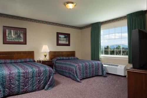 卢雷卢雷洞穴汽车旅馆的酒店客房设有两张床和电视。