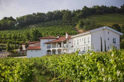 Peterc Vineyard Estate