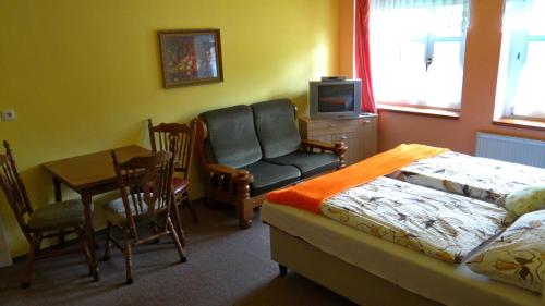 捷克布杰约维采Vila Lenka的一间卧室配有一张床、一把椅子和一张桌子