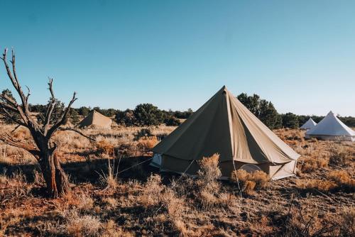 瓦莱Wander Camp Grand Canyon的相册照片