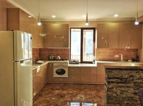 卡兹贝吉Hotel Diamond Kazbegi的厨房配有冰箱和炉灶。 顶部烤箱