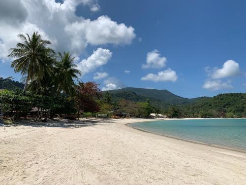 通奈潘海滩帕岸岛哈瓦那海滩度假酒店的棕榈树和海洋的海滩